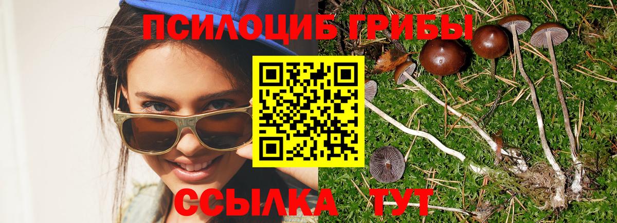 Галлюциногенные грибы ЛСД Сорочинск